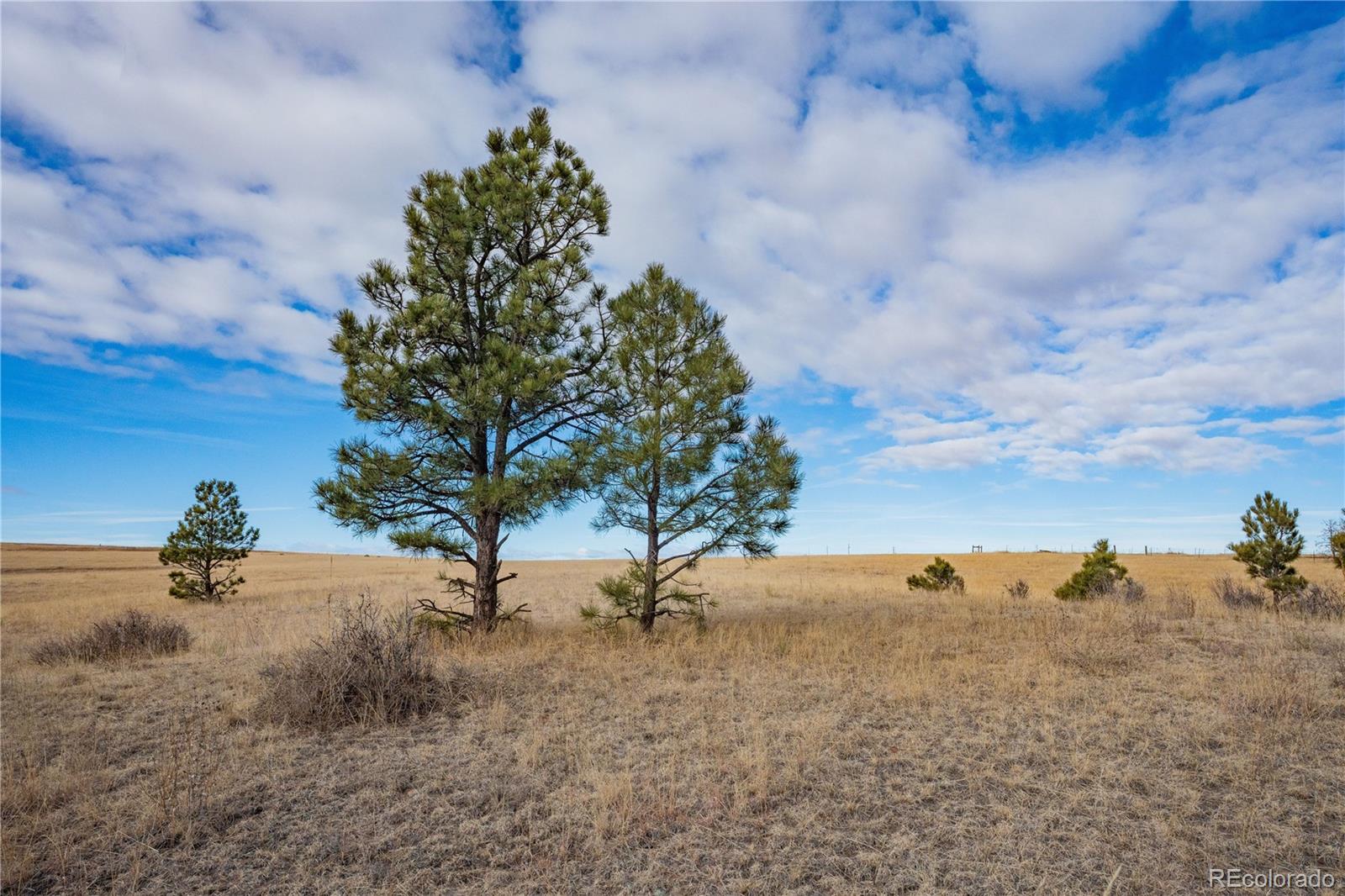 MLS Image #37 for 754  highway 86 ,elizabeth, Colorado