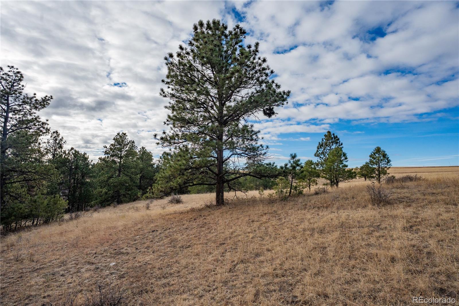 MLS Image #38 for 754  highway 86 ,elizabeth, Colorado