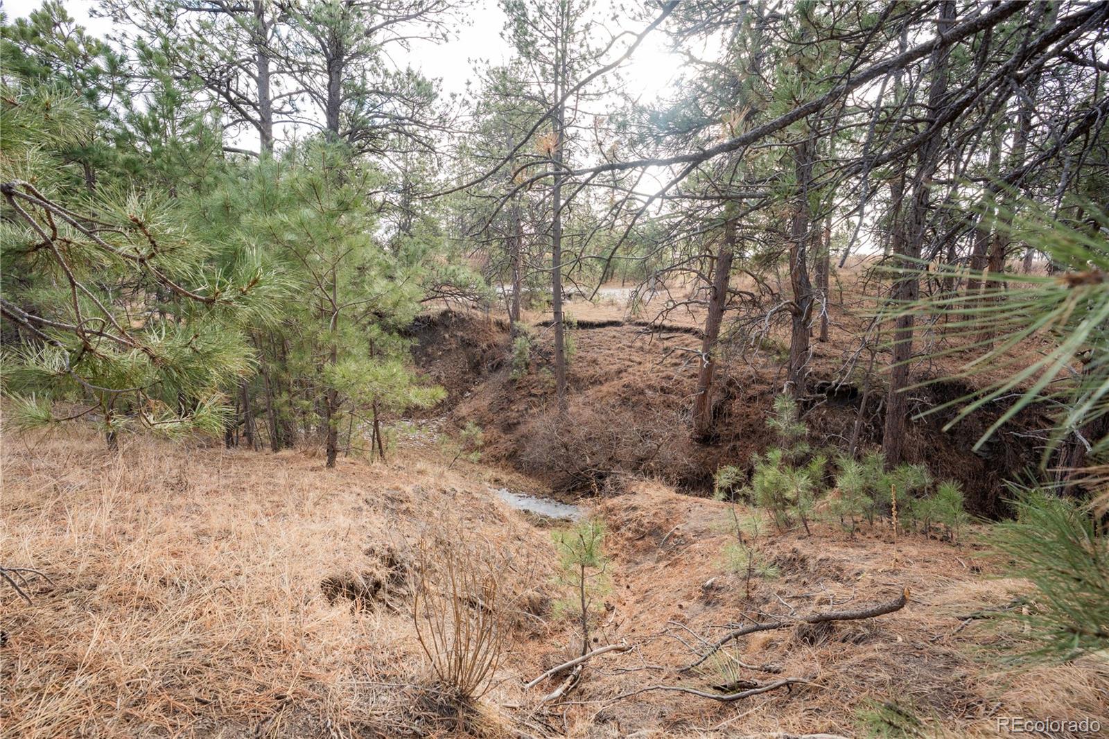 MLS Image #39 for 754  highway 86 ,elizabeth, Colorado