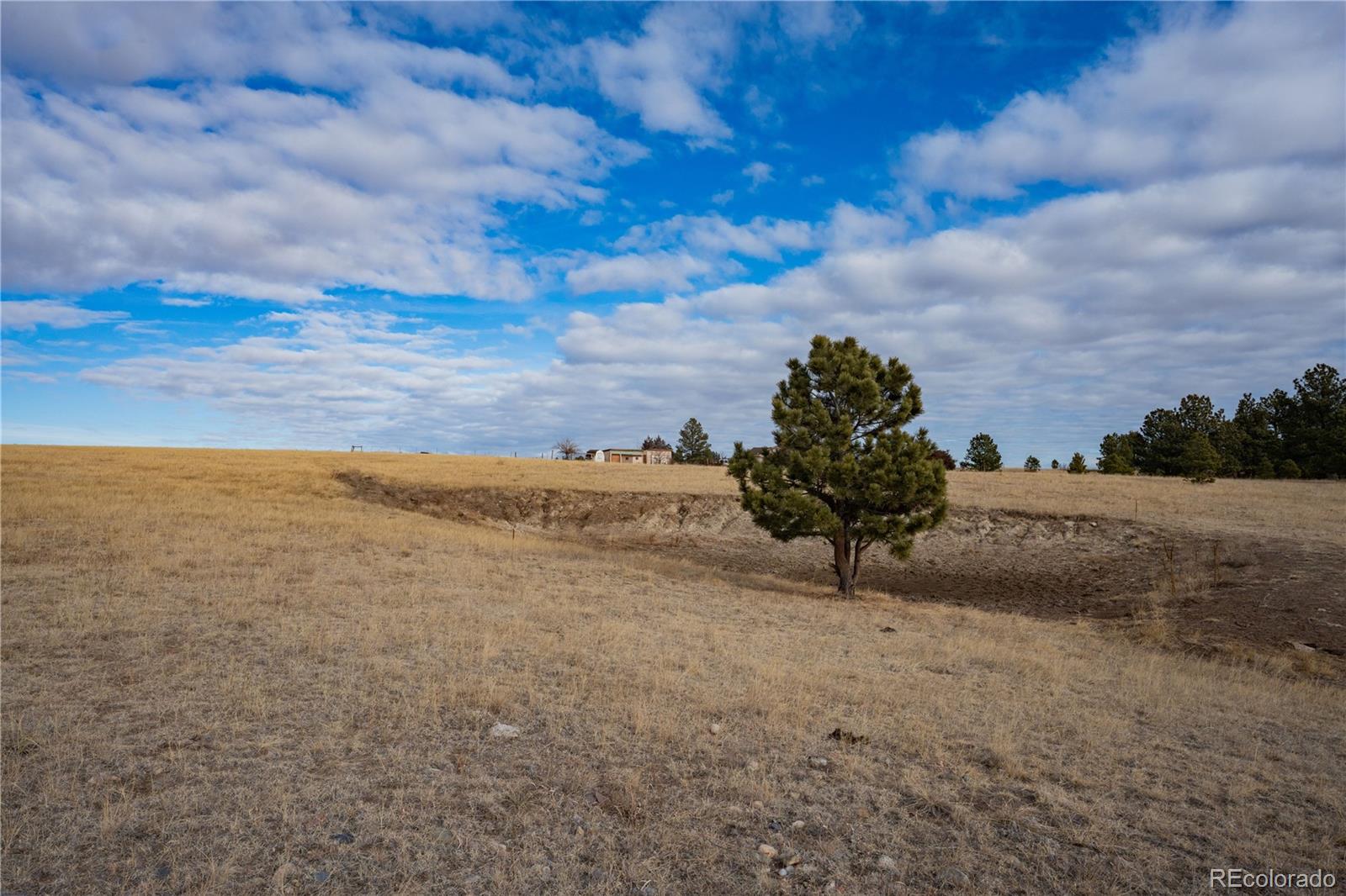MLS Image #40 for 754  highway 86 ,elizabeth, Colorado