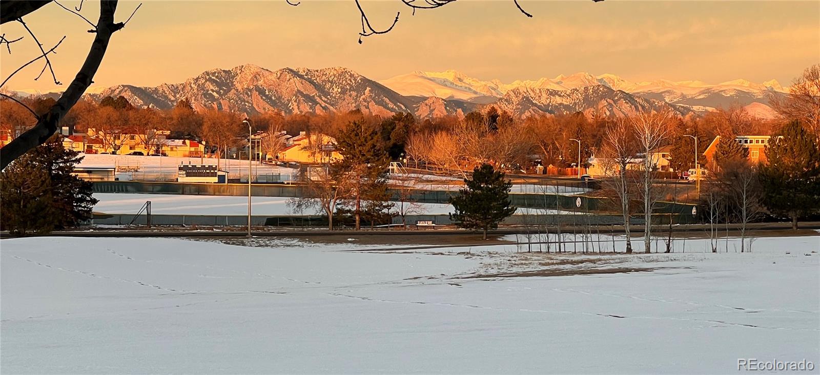 MLS Image #36 for 1123  oakhurst drive,broomfield, Colorado
