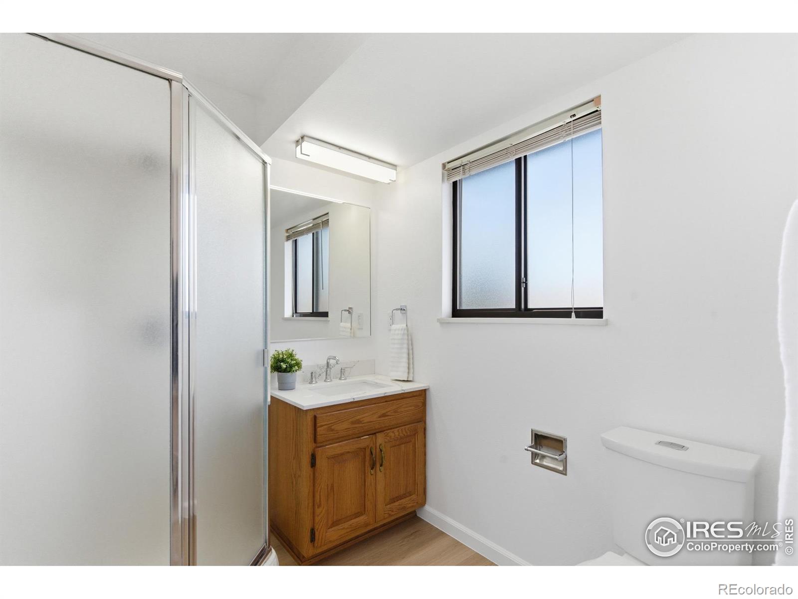 MLS Image #17 for 617  clifford court,fort collins, Colorado