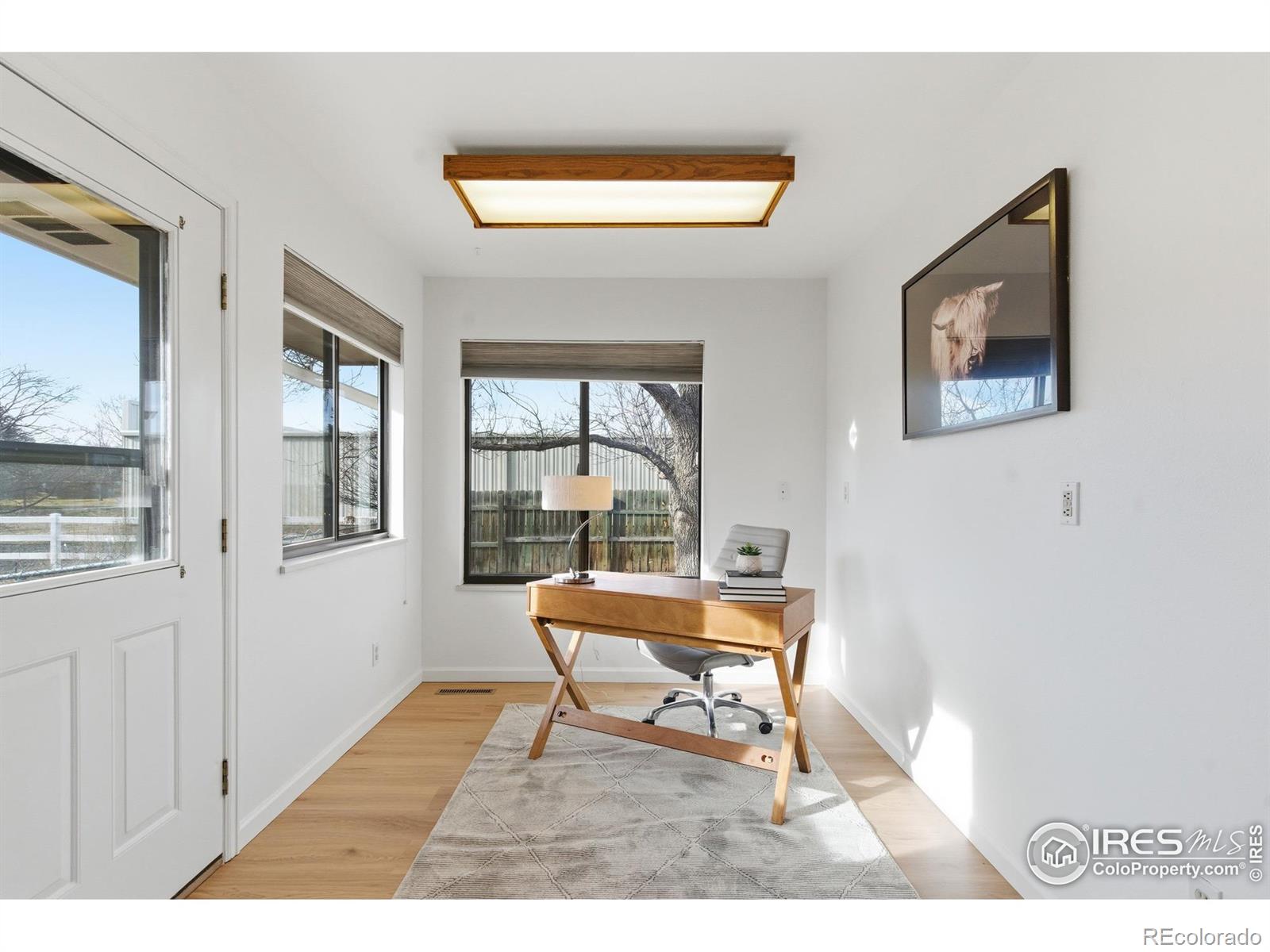 MLS Image #21 for 617  clifford court,fort collins, Colorado
