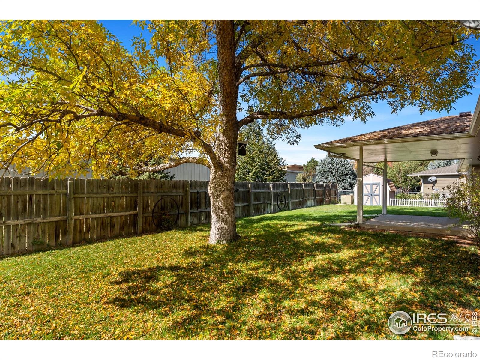 MLS Image #33 for 617  clifford court,fort collins, Colorado