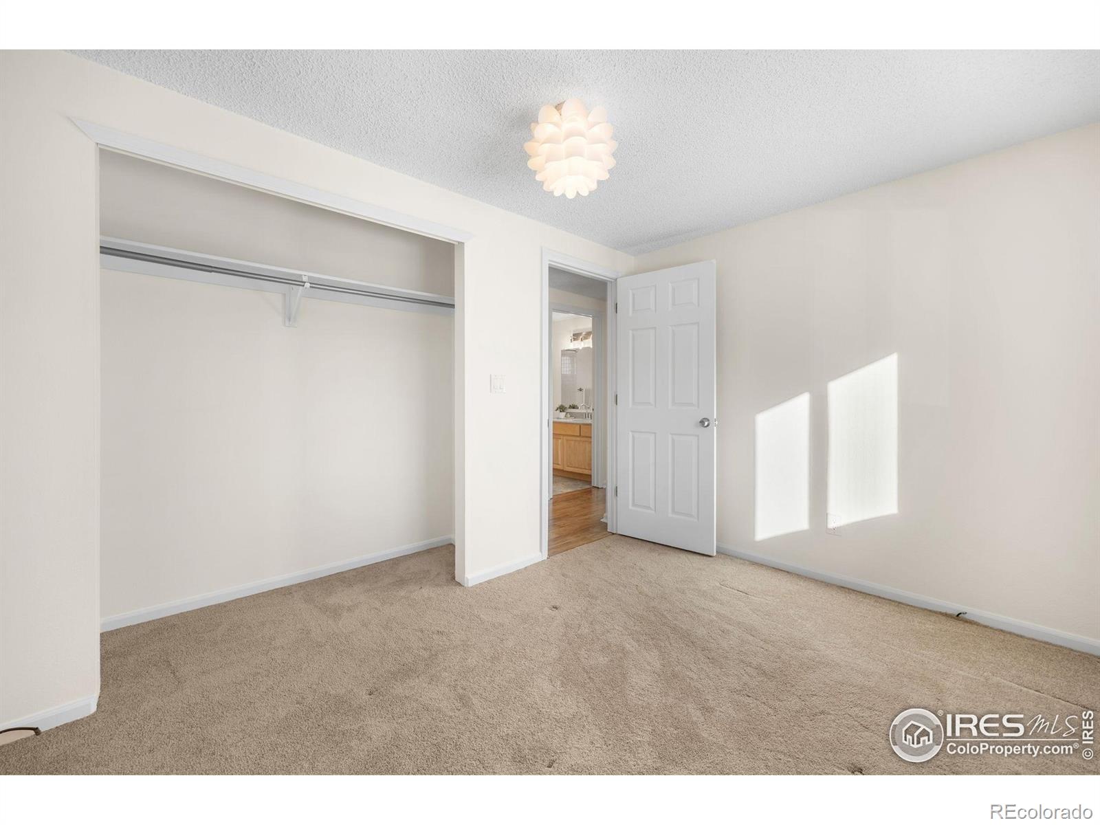 MLS Image #10 for 815  hilltop street,longmont, Colorado