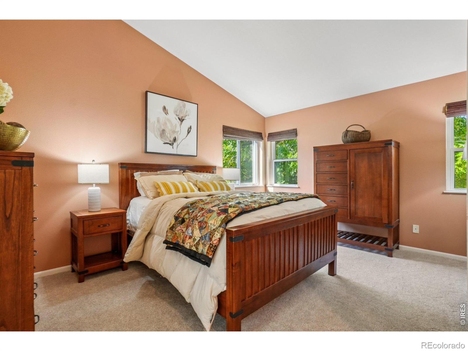 MLS Image #22 for 8009  james court,niwot, Colorado