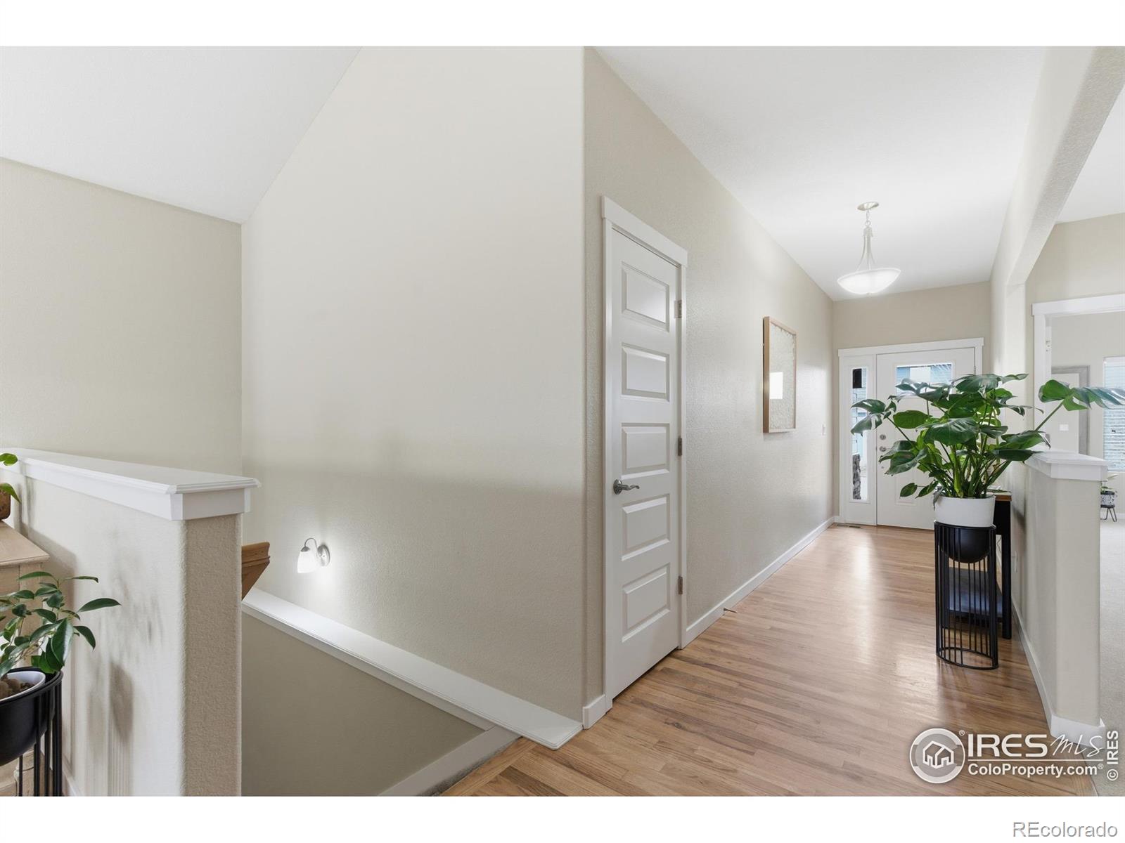 MLS Image #16 for 2884  hydra drive,loveland, Colorado