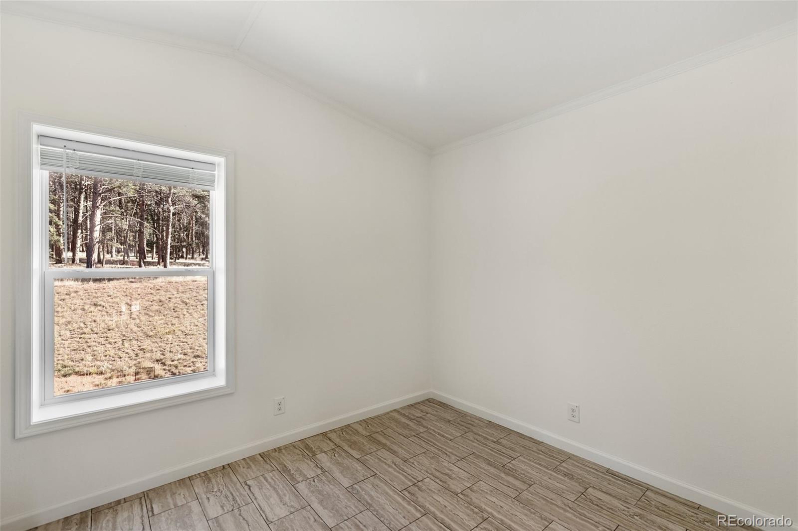 MLS Image #15 for 1411  calm mountain point,woodland park, Colorado