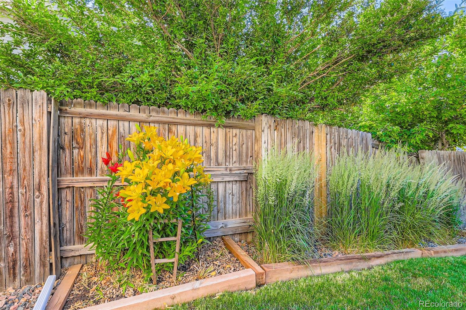 MLS Image #20 for 8156  carr circle,arvada, Colorado