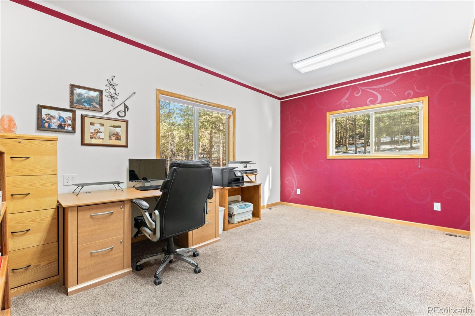 MLS Image #12 for 186  territory drive,pine, Colorado