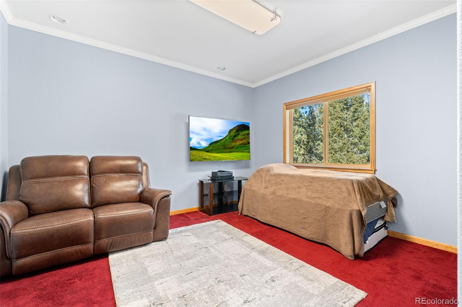 MLS Image #14 for 186  territory drive,pine, Colorado