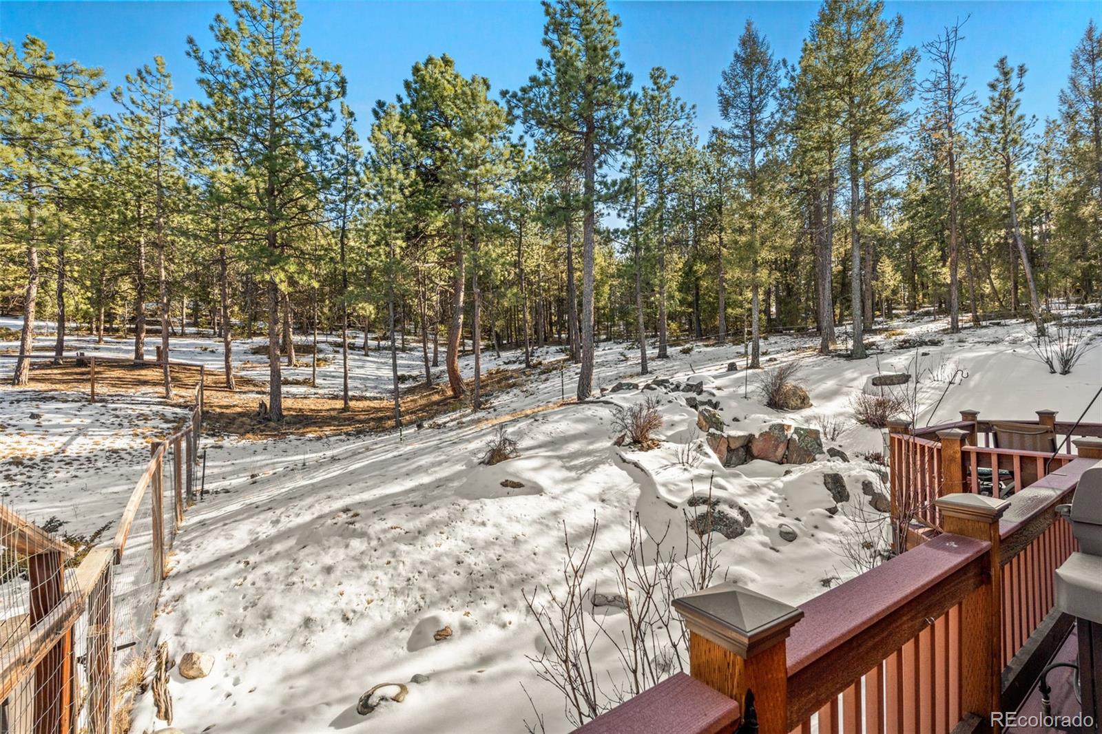 MLS Image #19 for 186  territory drive,pine, Colorado