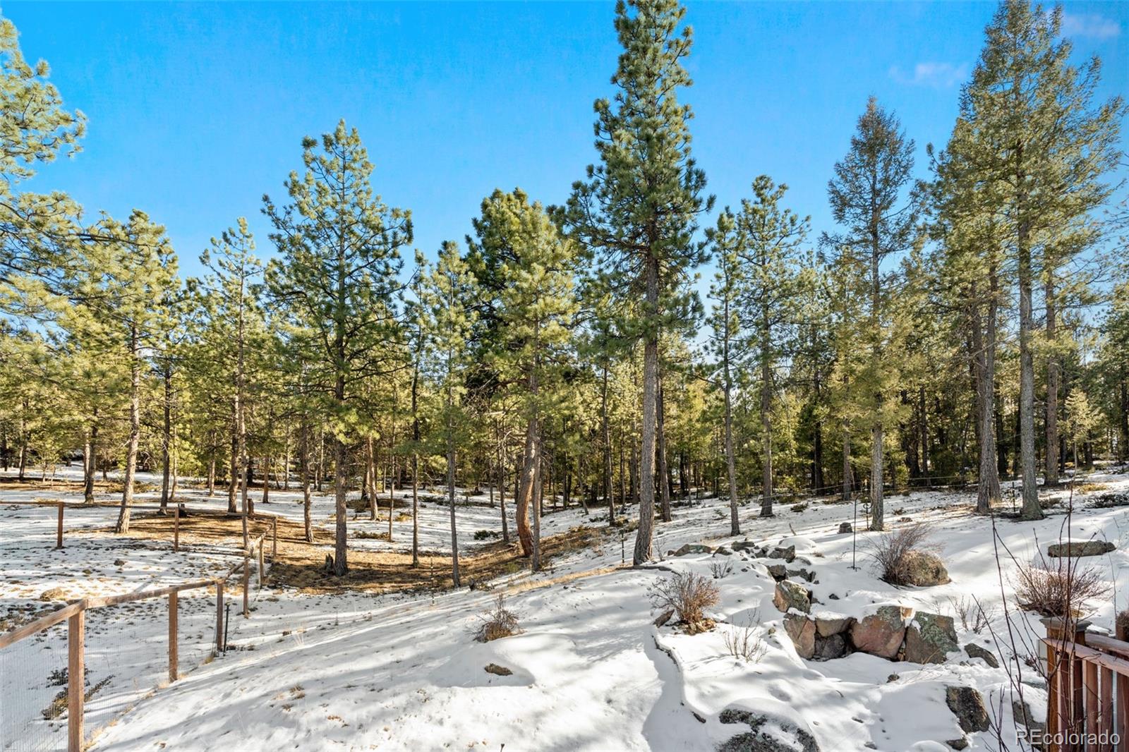MLS Image #22 for 186  territory drive,pine, Colorado