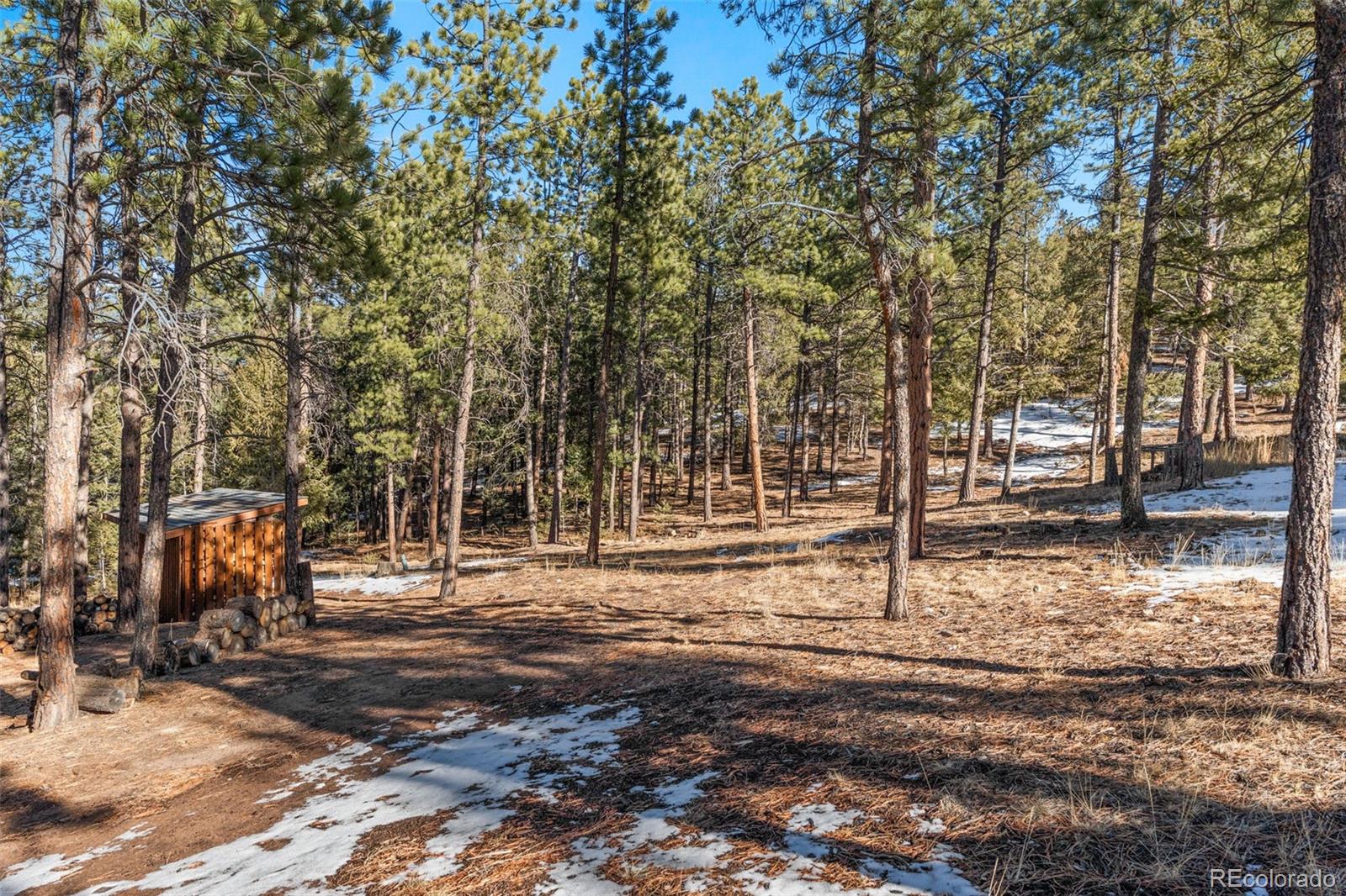 MLS Image #24 for 186  territory drive,pine, Colorado