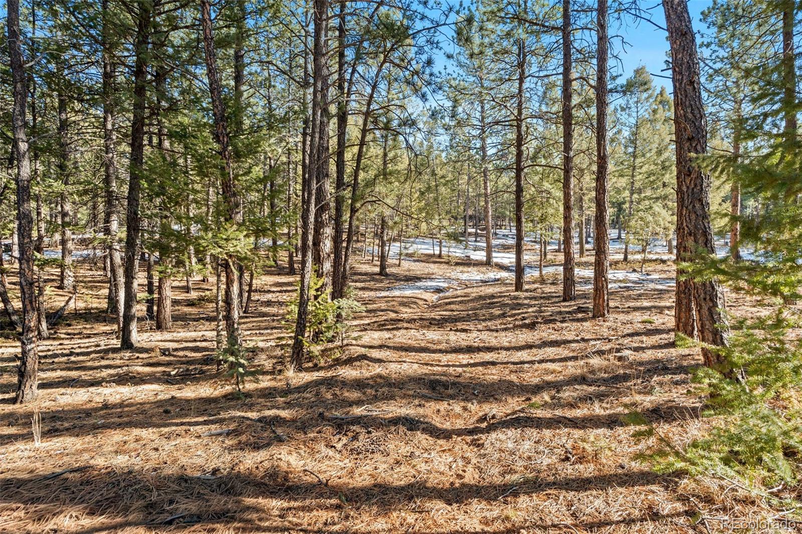 MLS Image #26 for 186  territory drive,pine, Colorado