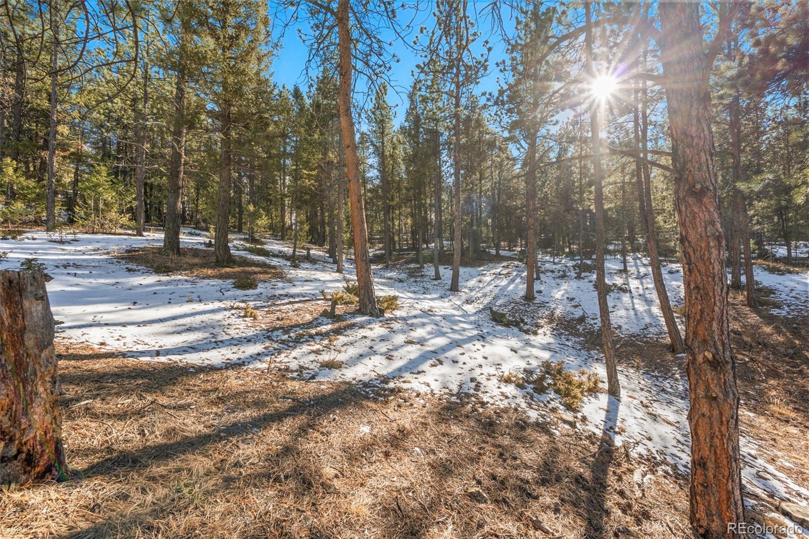 MLS Image #29 for 186  territory drive,pine, Colorado