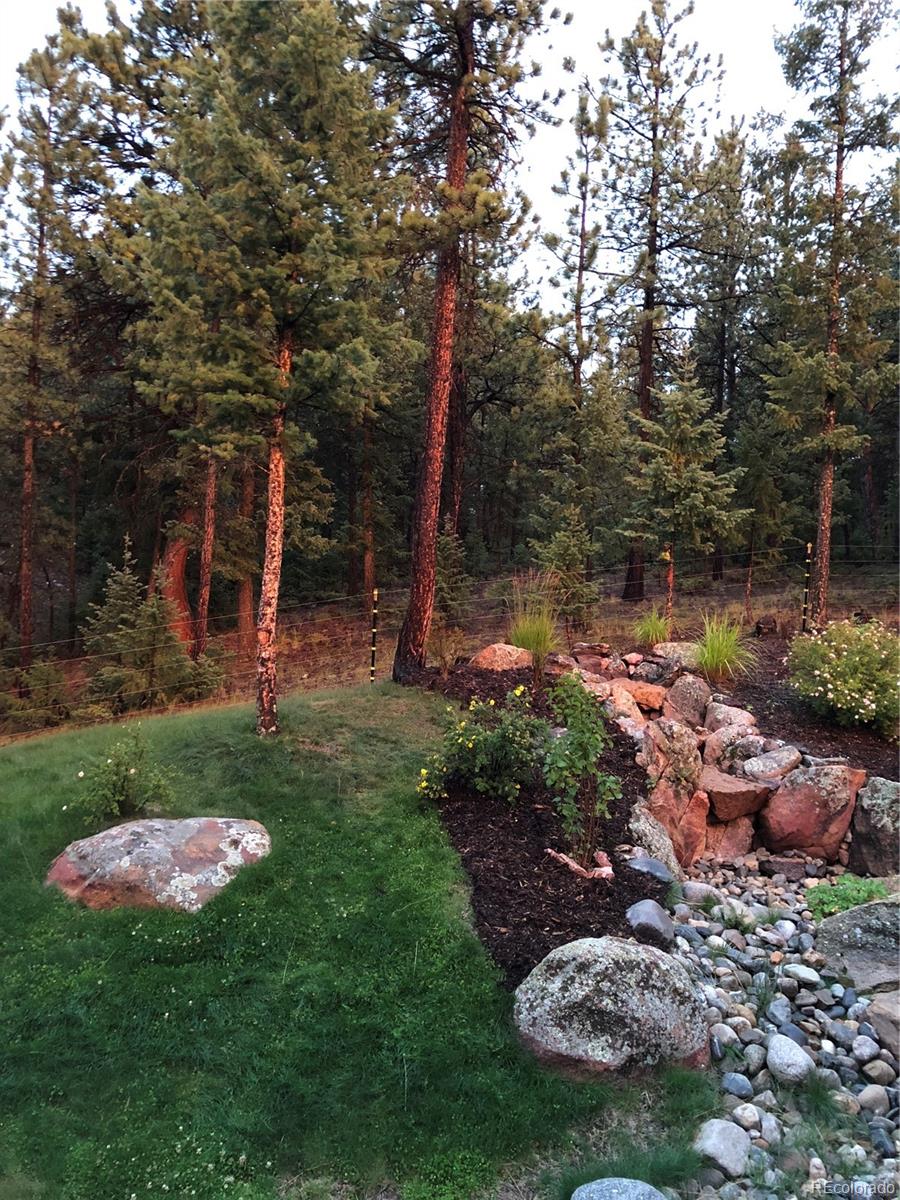 MLS Image #37 for 186  territory drive,pine, Colorado