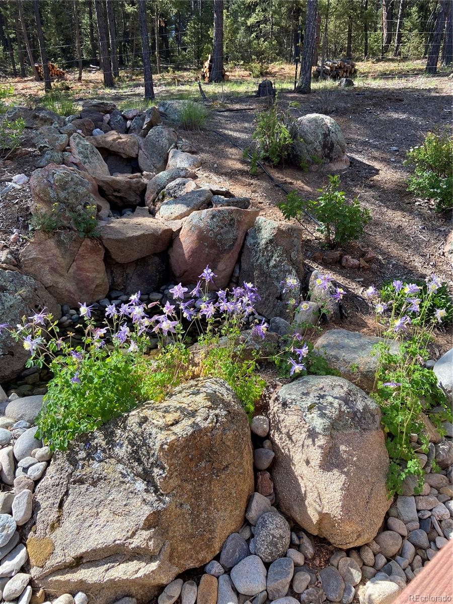 MLS Image #38 for 186  territory drive,pine, Colorado