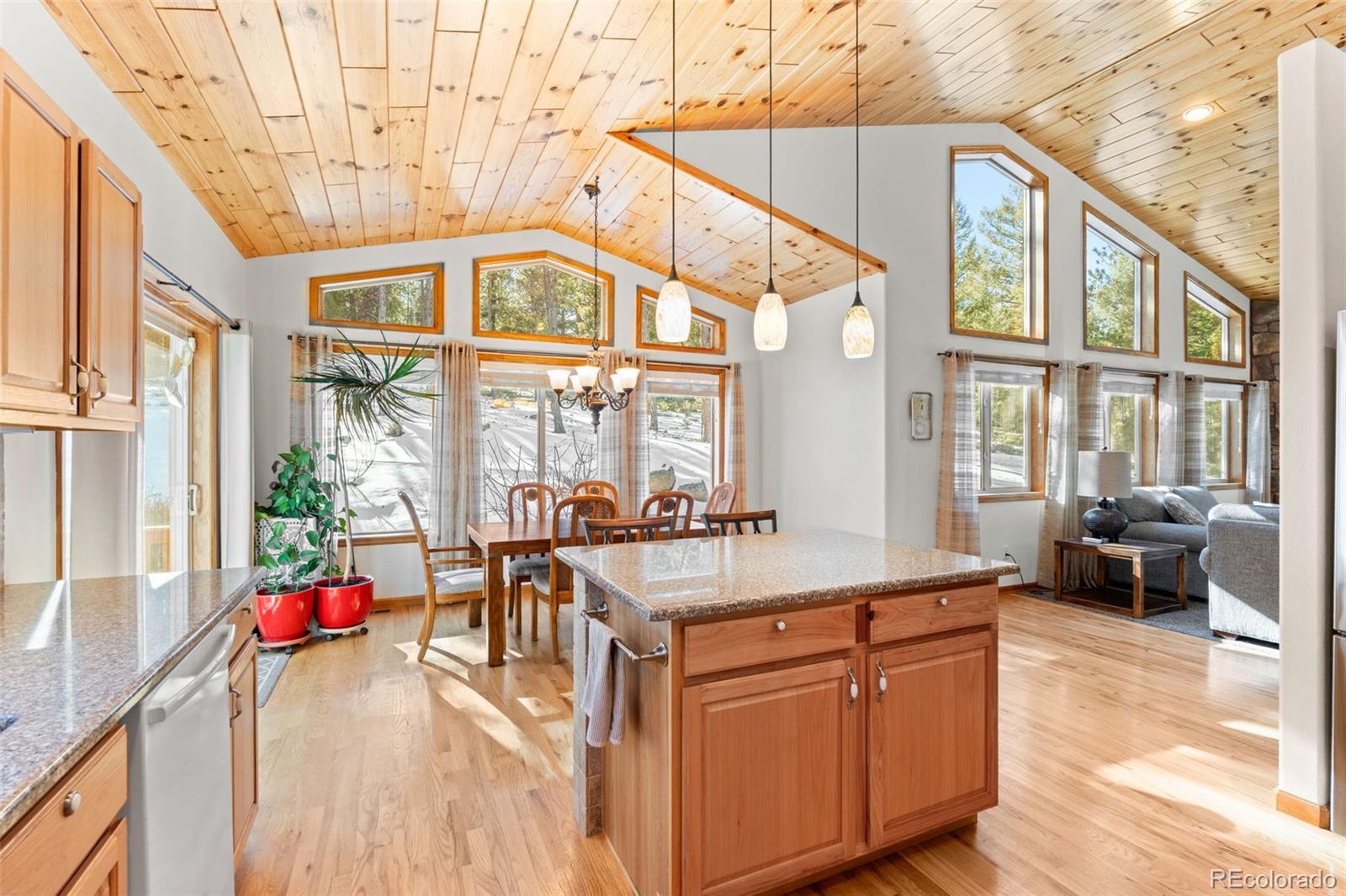 MLS Image #5 for 186  territory drive,pine, Colorado