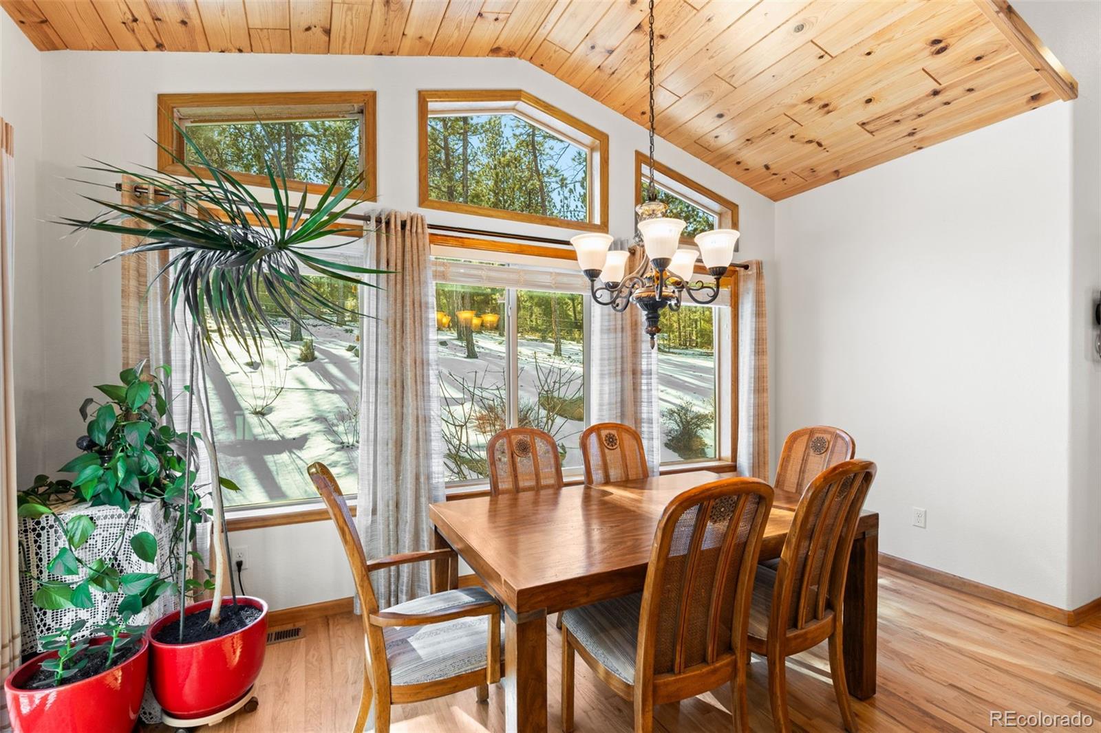 MLS Image #7 for 186  territory drive,pine, Colorado