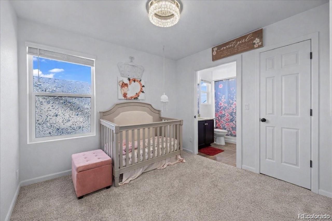 MLS Image #11 for 10909  memphis court,commerce city, Colorado