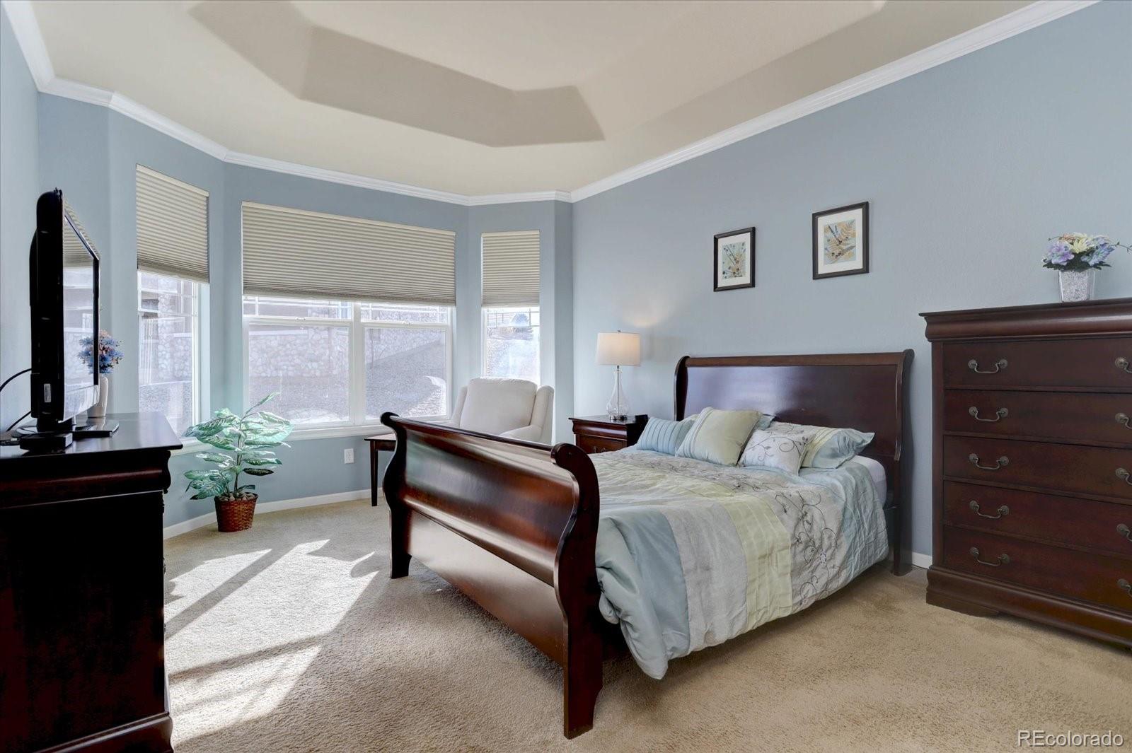 MLS Image #12 for 15932  torreys way,broomfield, Colorado