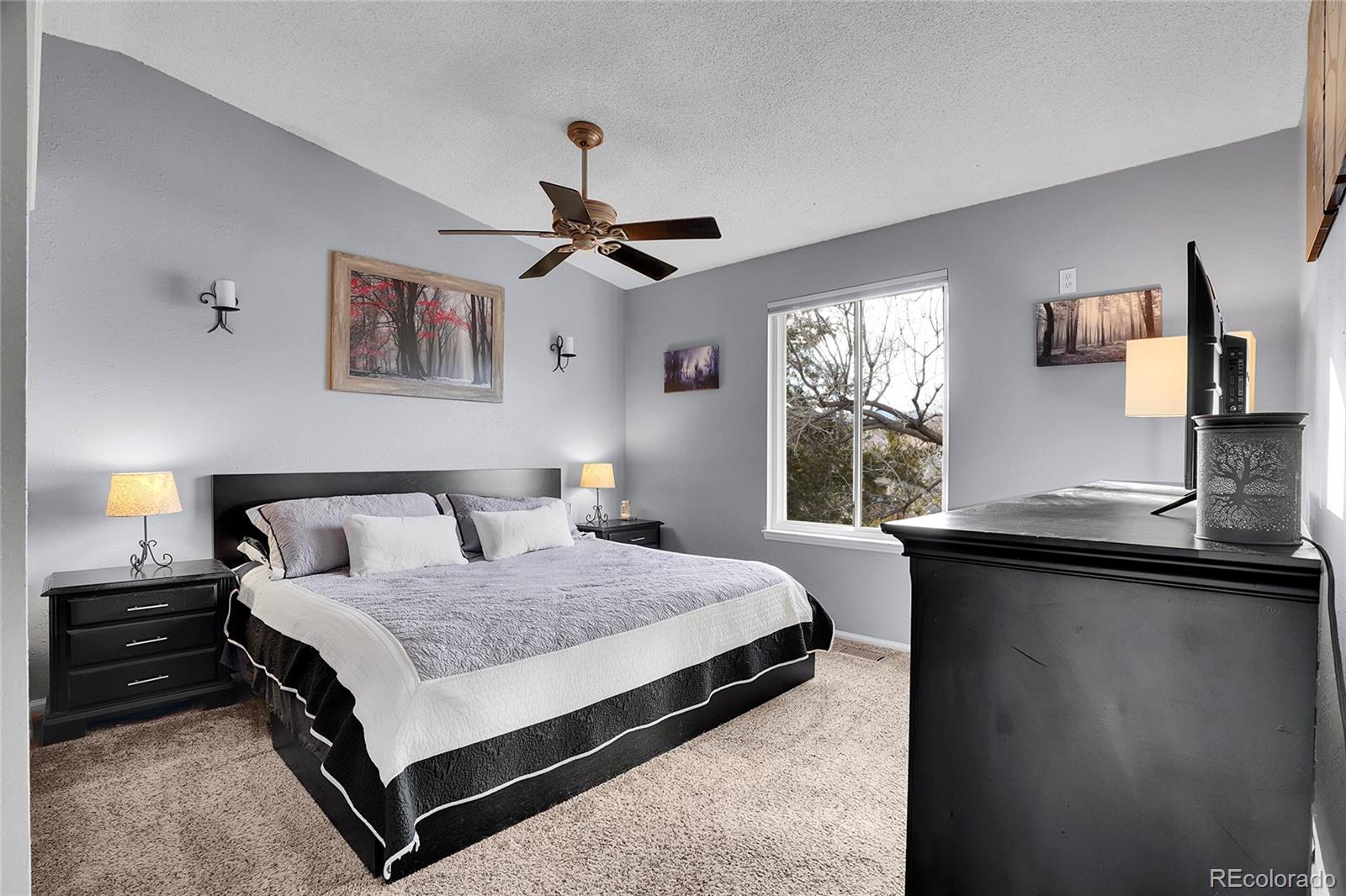 MLS Image #7 for 6813 s everett street,littleton, Colorado