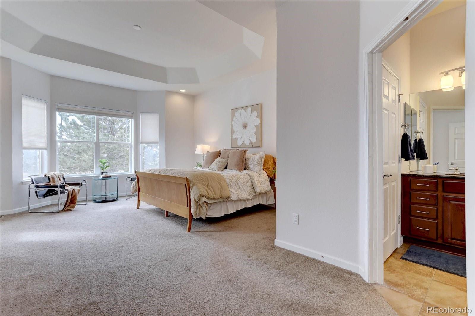 MLS Image #14 for 15965  wetterhorn way,broomfield, Colorado