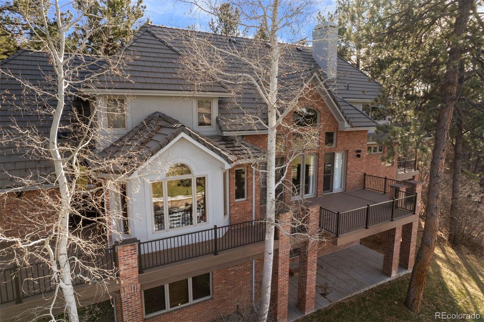MLS Image #11 for 120  silver leaf way,castle rock, Colorado
