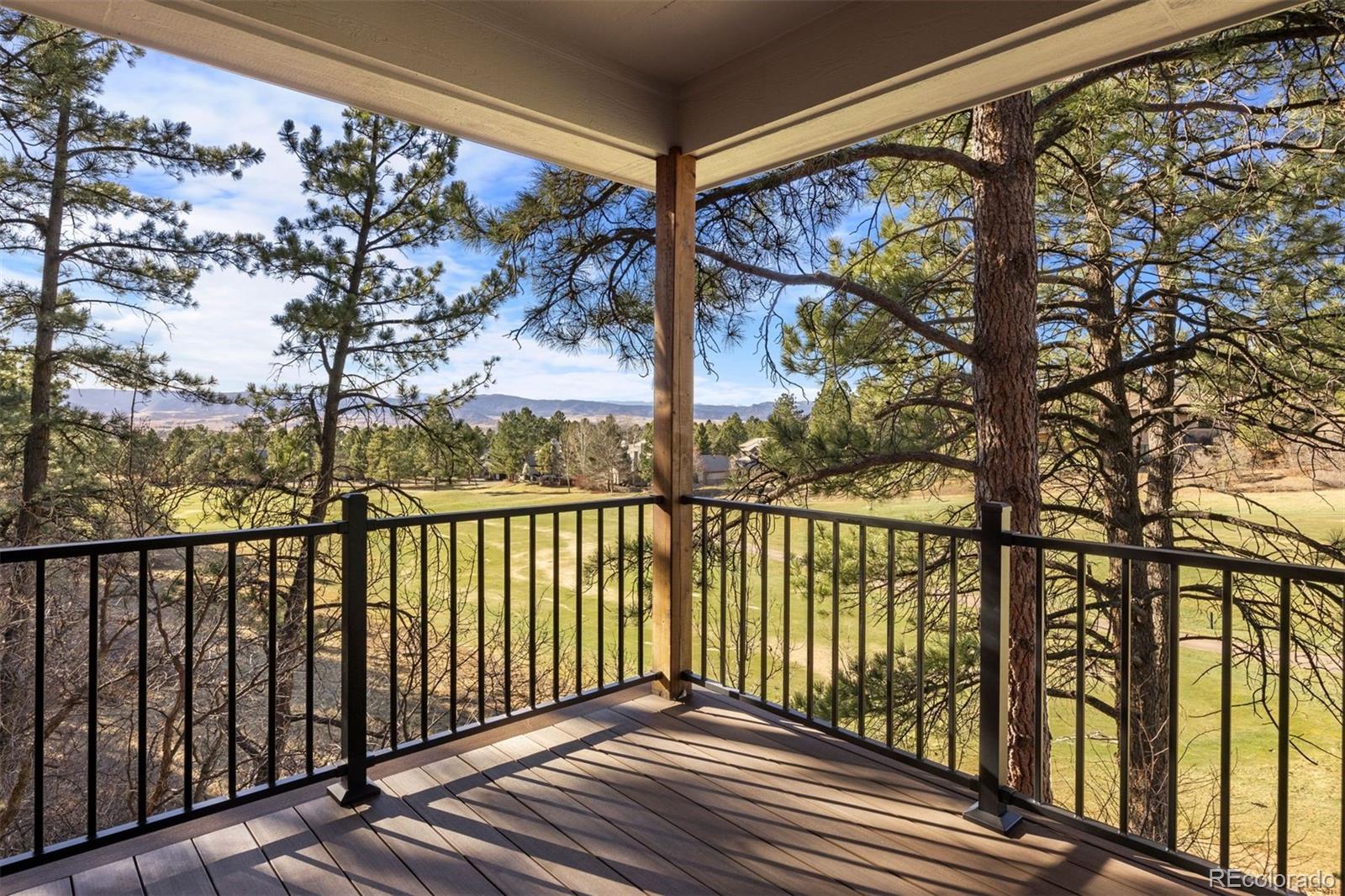 MLS Image #27 for 120  silver leaf way,castle rock, Colorado