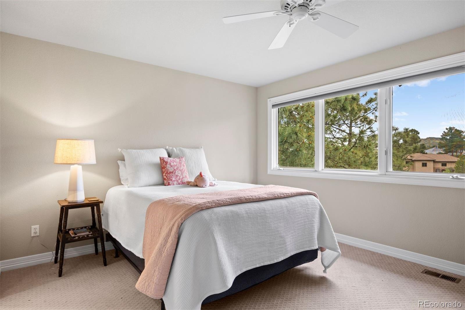 MLS Image #33 for 120  silver leaf way,castle rock, Colorado