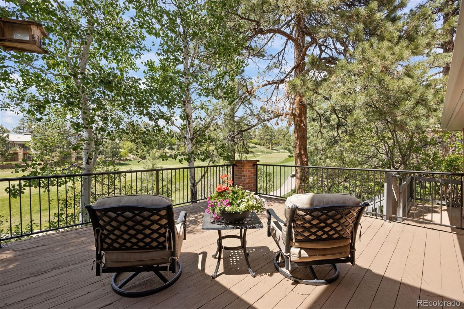 MLS Image #5 for 120  silver leaf way,castle rock, Colorado