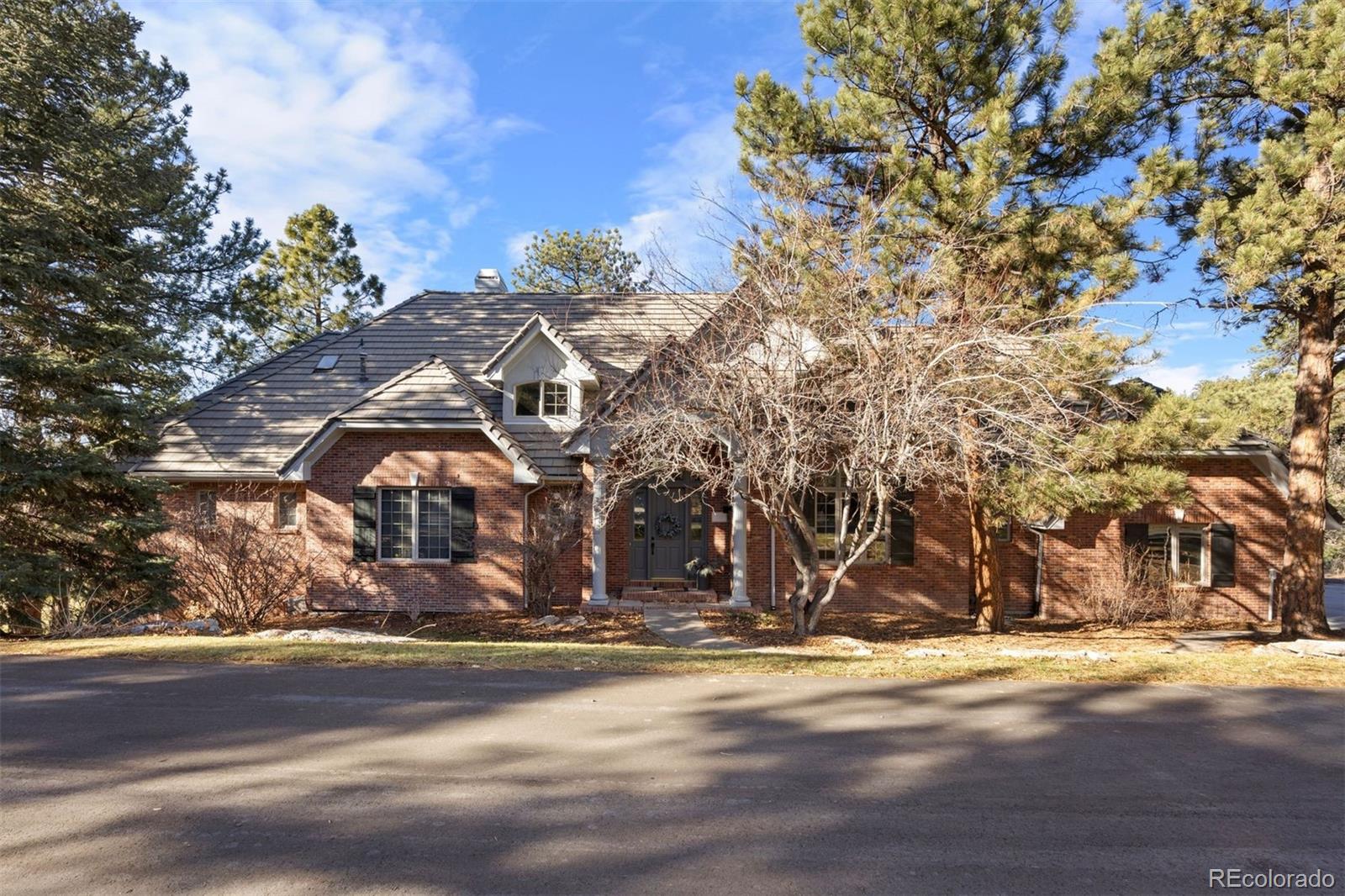 MLS Image #8 for 120  silver leaf way,castle rock, Colorado