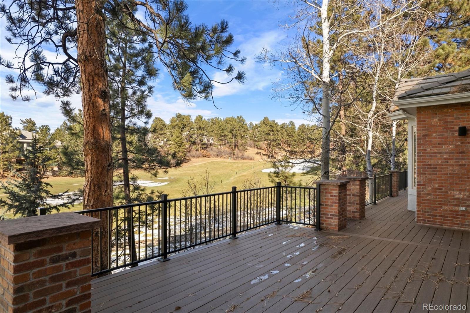 MLS Image #9 for 120  silver leaf way,castle rock, Colorado