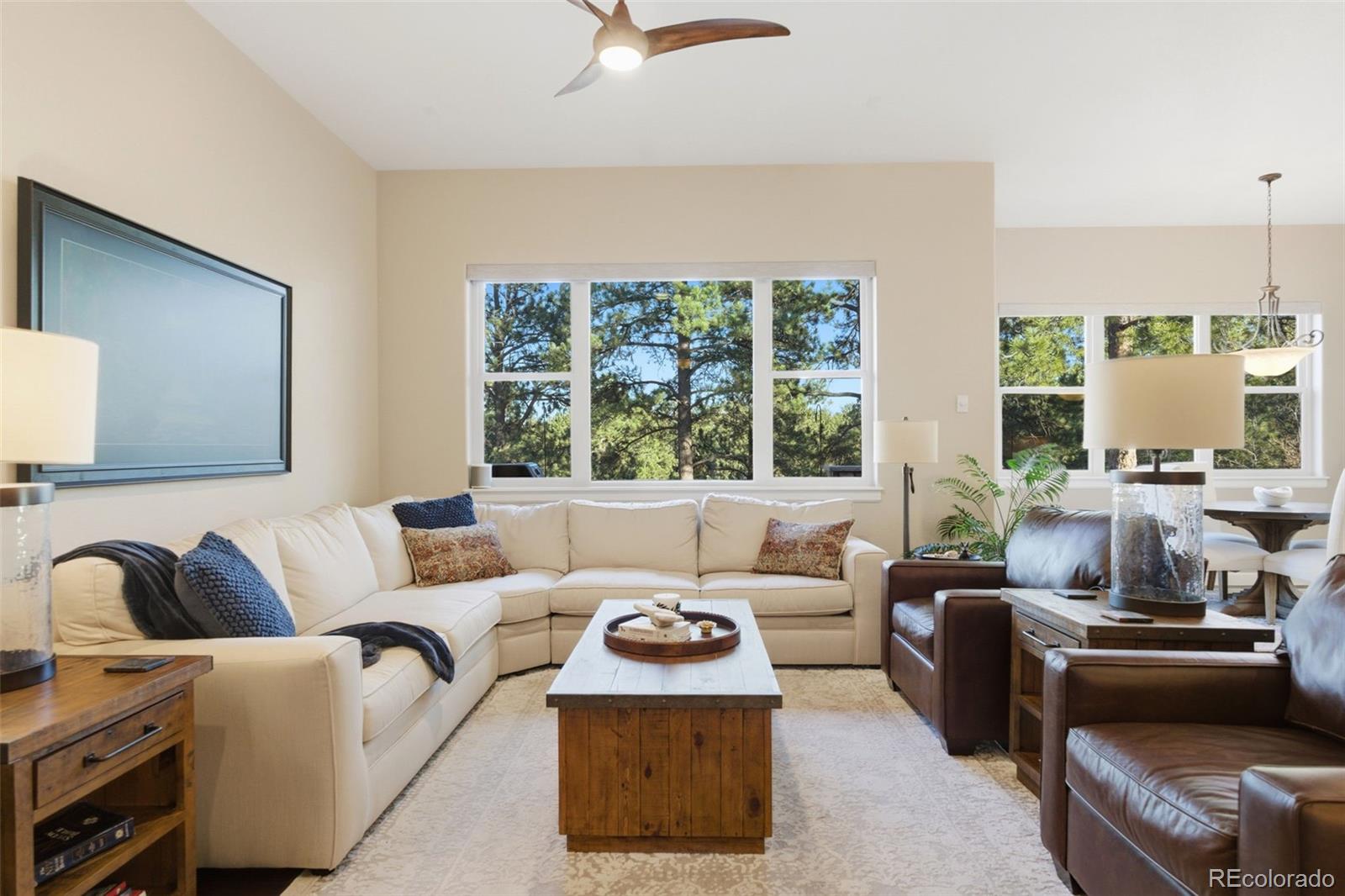 MLS Image #10 for 8056  monarch road,larkspur, Colorado