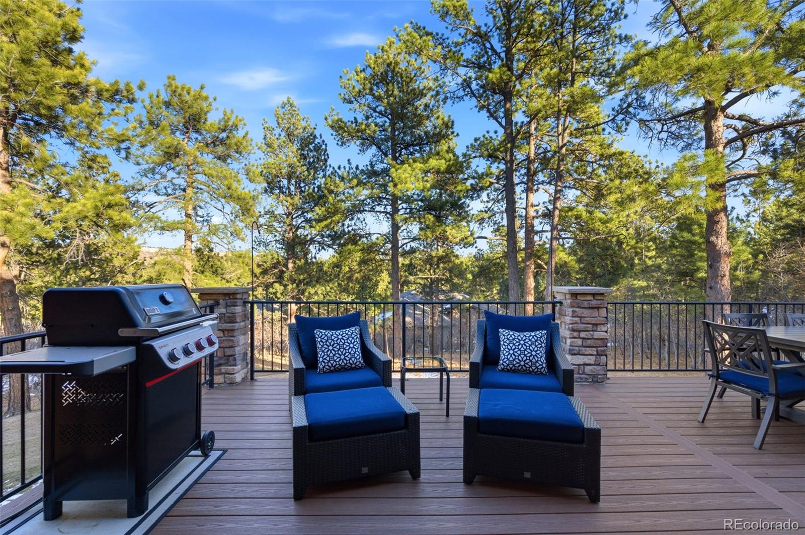 MLS Image #46 for 8056  monarch road,larkspur, Colorado