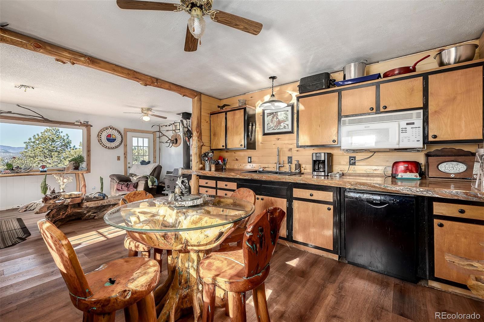 MLS Image #10 for 201  lake drive,florissant, Colorado
