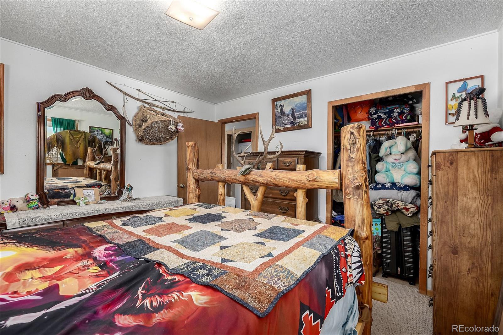 MLS Image #12 for 201  lake drive,florissant, Colorado