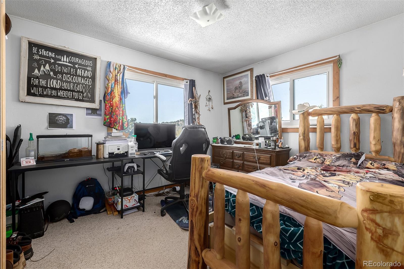 MLS Image #13 for 201  lake drive,florissant, Colorado