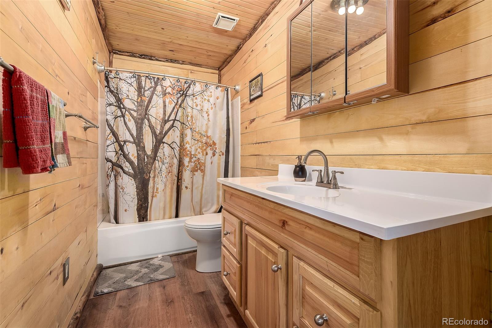MLS Image #14 for 201  lake drive,florissant, Colorado