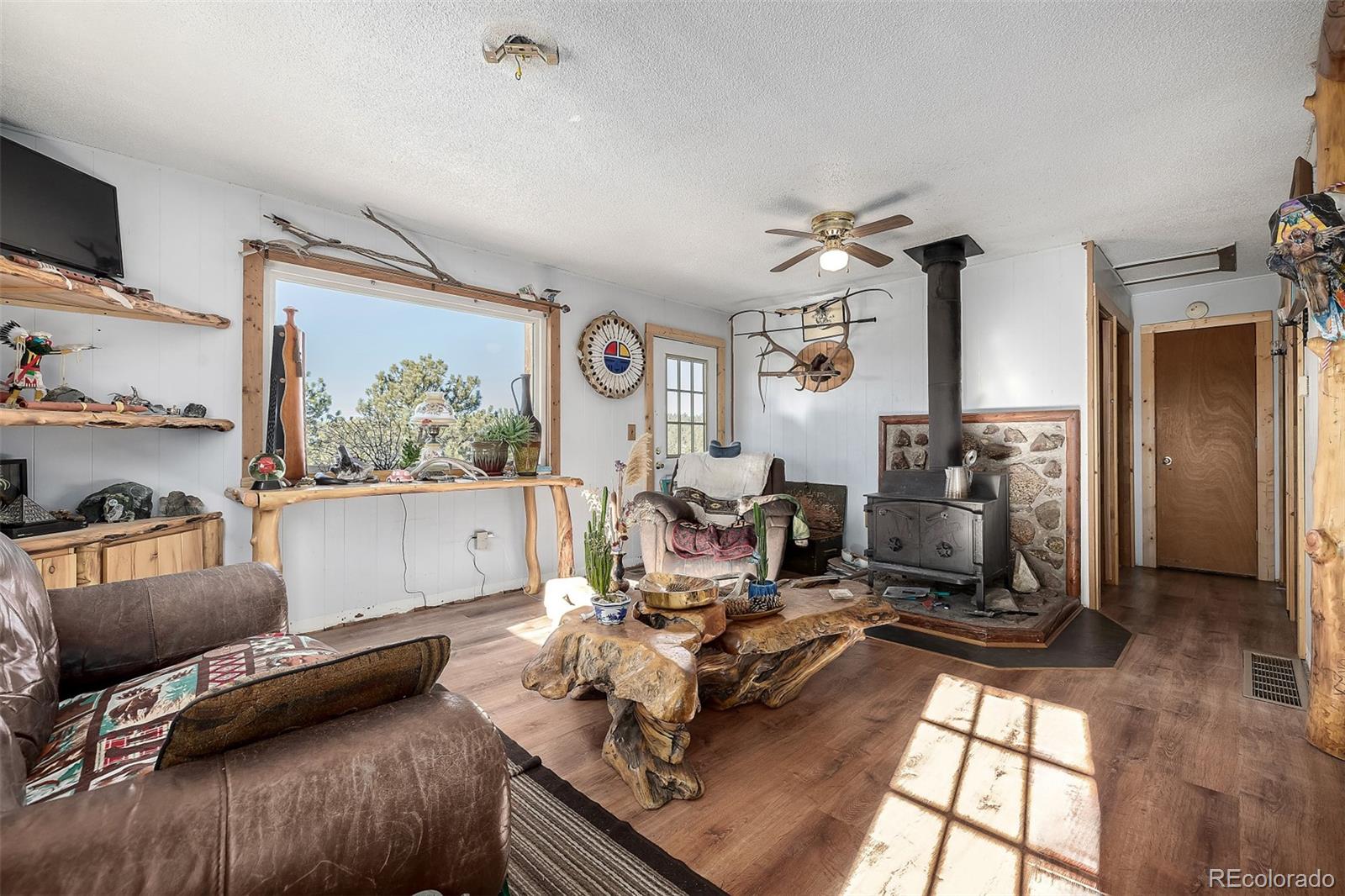 MLS Image #3 for 201  lake drive,florissant, Colorado