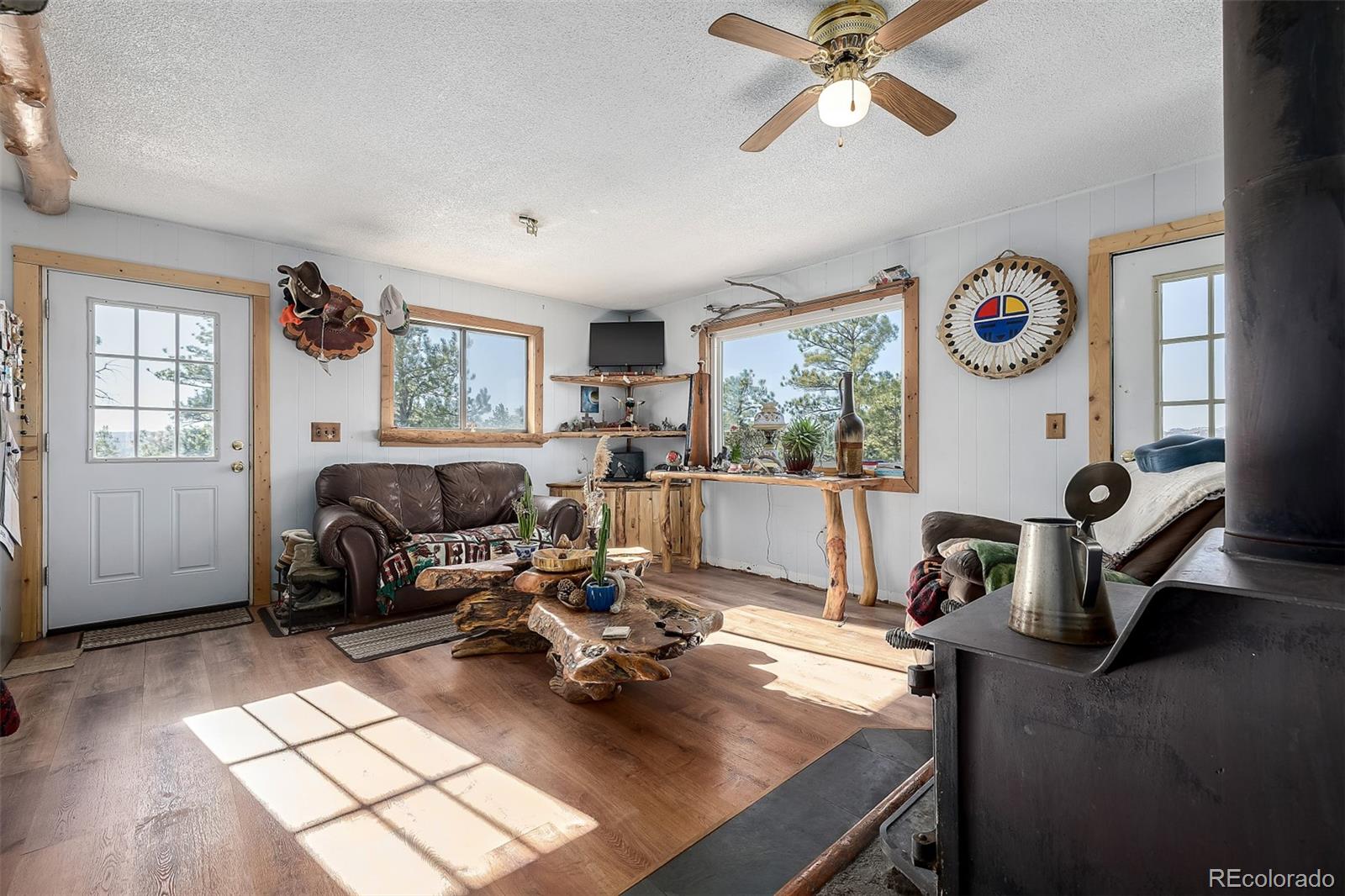 MLS Image #4 for 201  lake drive,florissant, Colorado