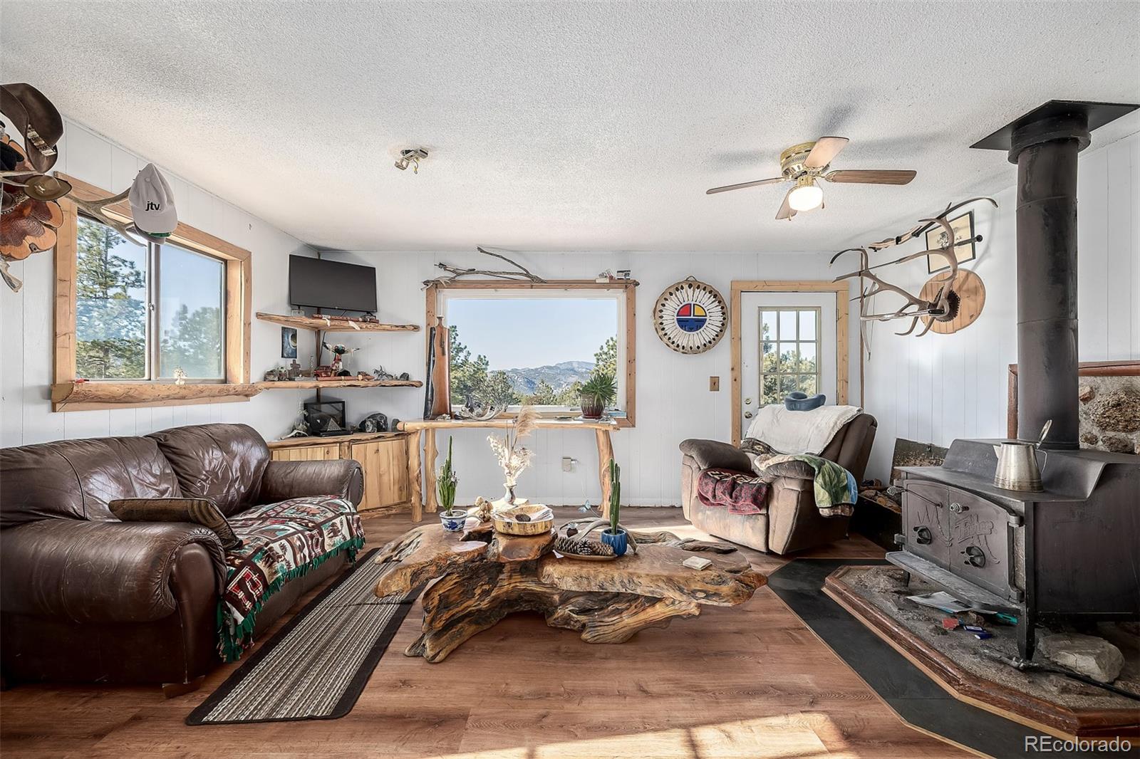 MLS Image #6 for 201  lake drive,florissant, Colorado