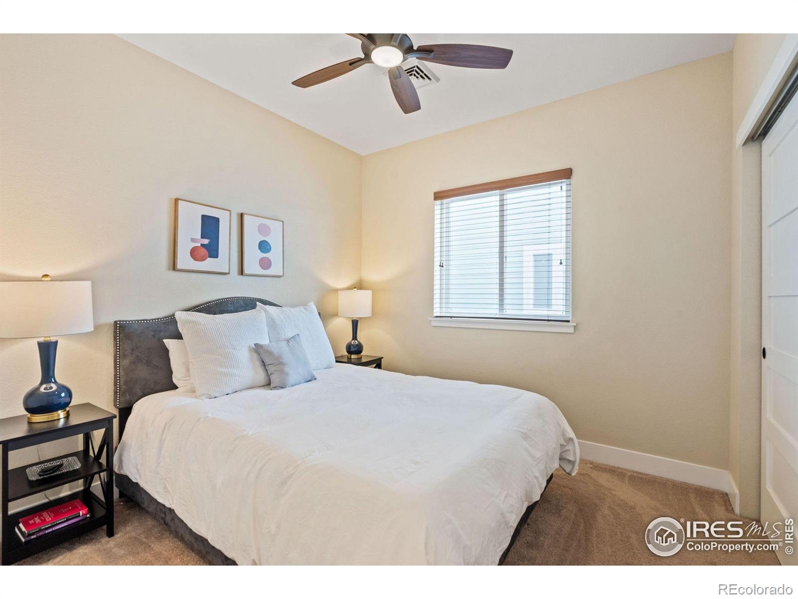 MLS Image #10 for 403  osiander street,fort collins, Colorado