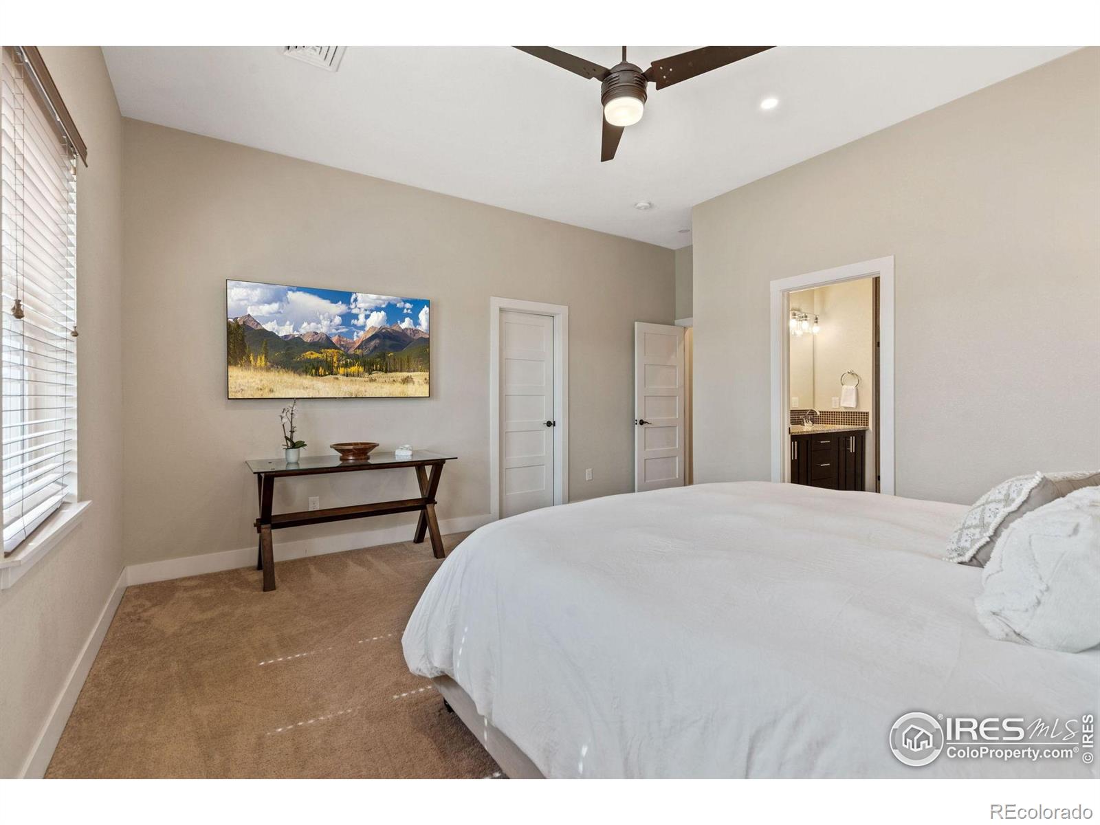 MLS Image #7 for 403  osiander street,fort collins, Colorado