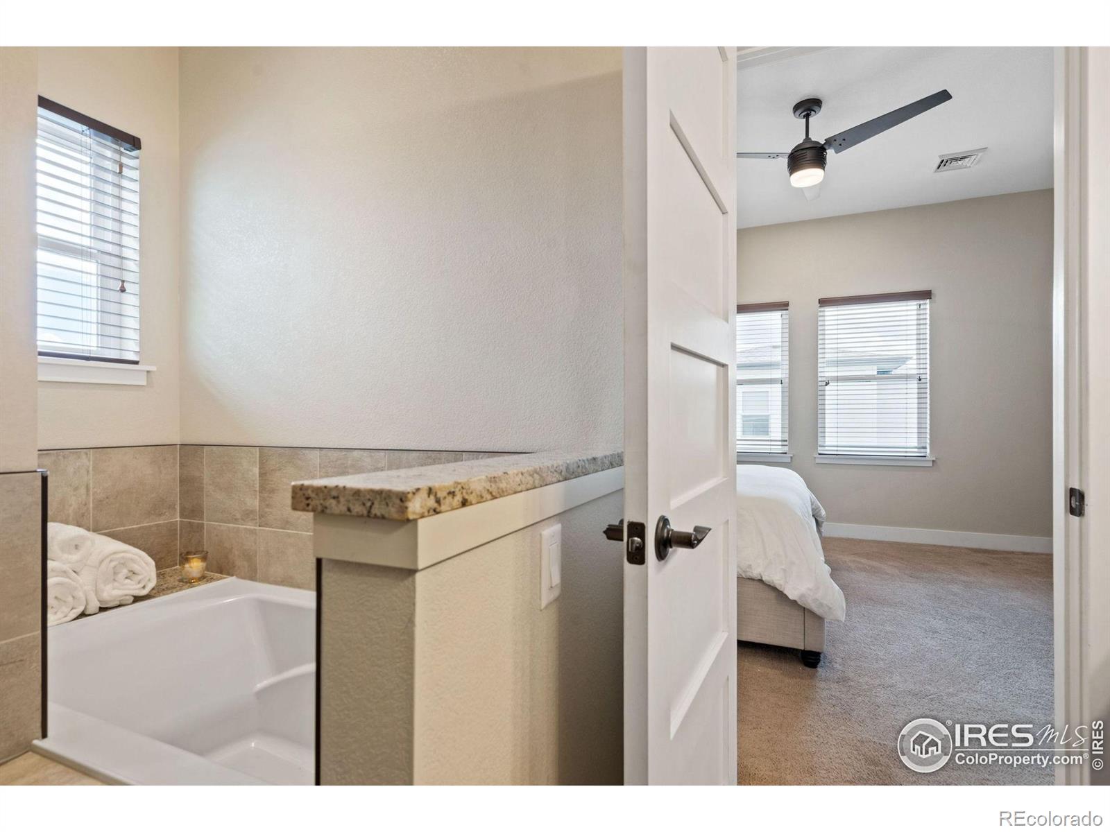MLS Image #9 for 403  osiander street,fort collins, Colorado