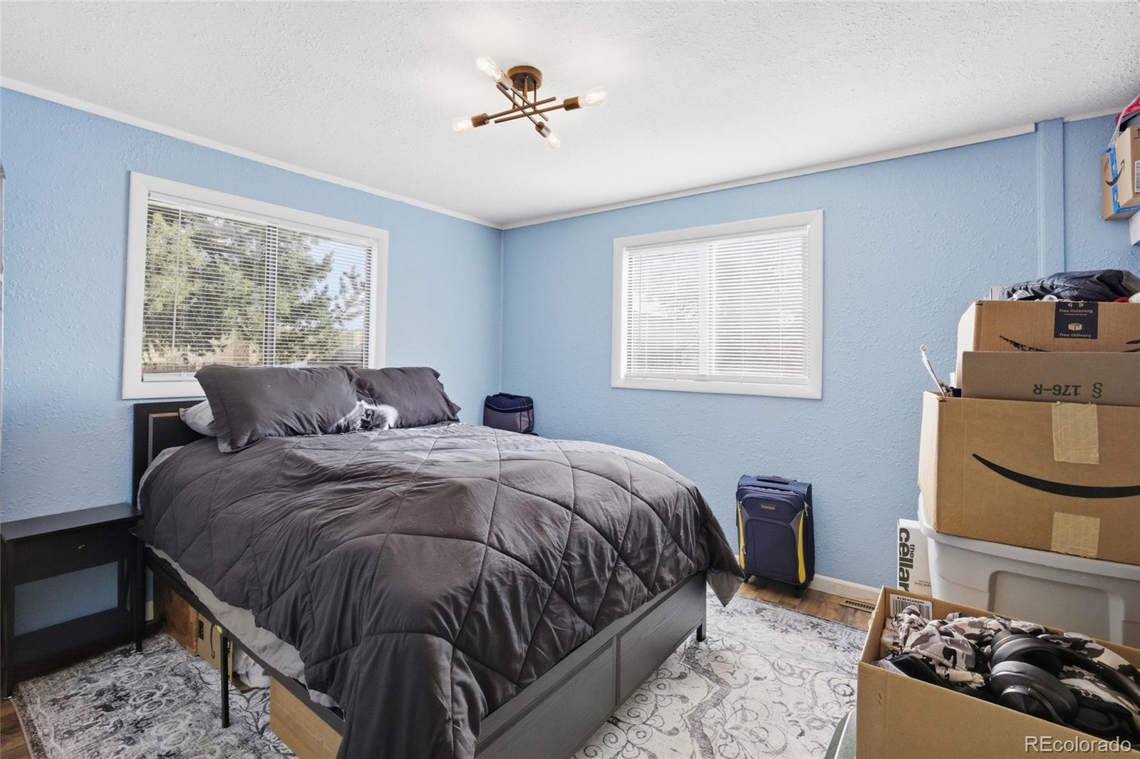 MLS Image #13 for 8412  mummy range drive,fort collins, Colorado