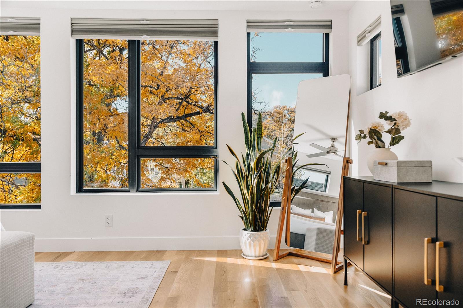 MLS Image #13 for 4538  wolff street,denver, Colorado