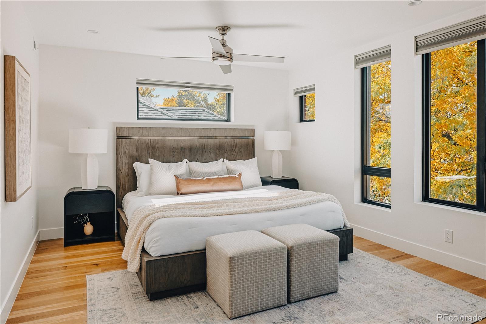 MLS Image #14 for 4538  wolff street,denver, Colorado