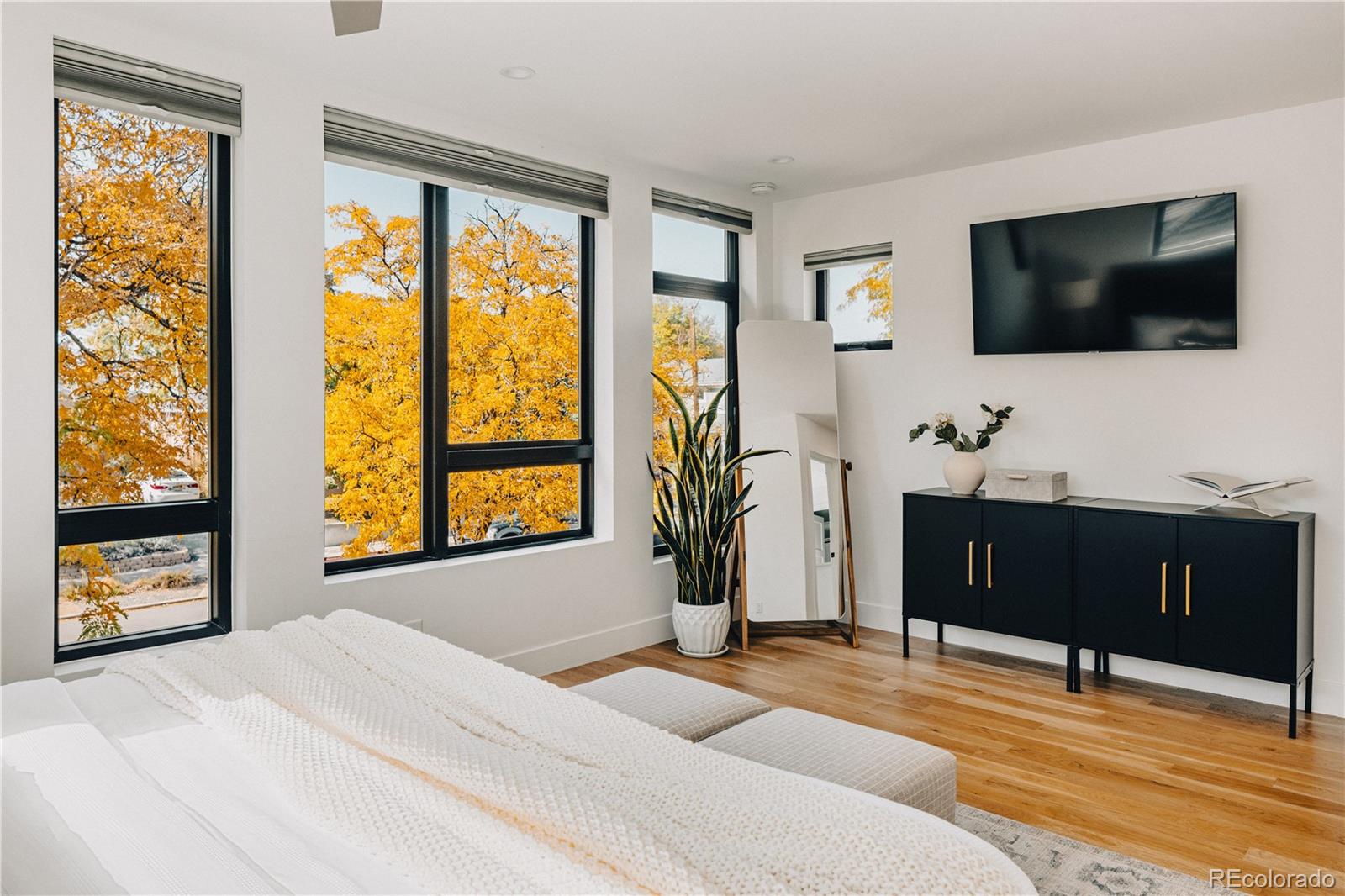 MLS Image #15 for 4538  wolff street,denver, Colorado